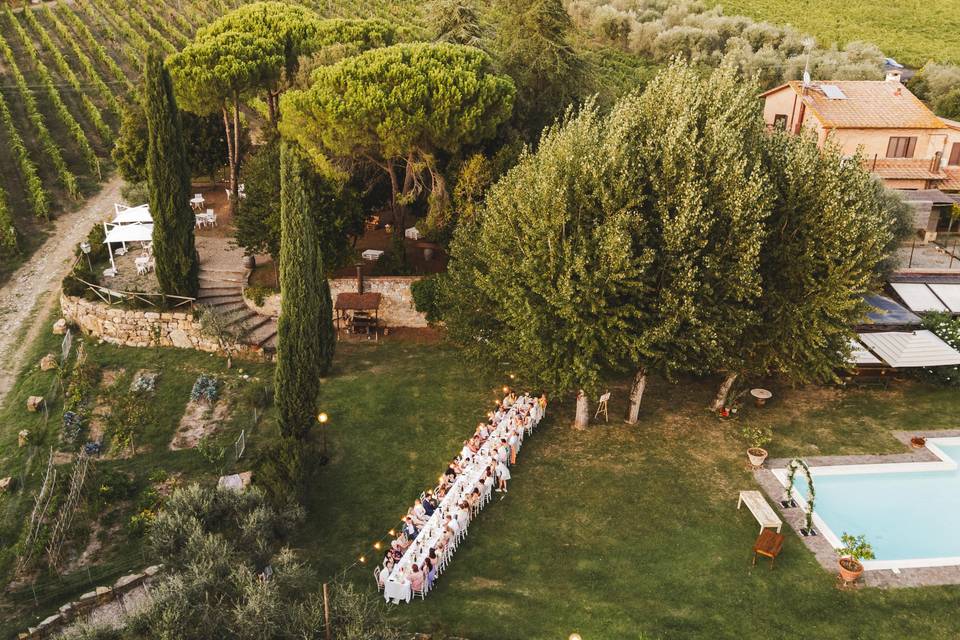 Dinner in the garden