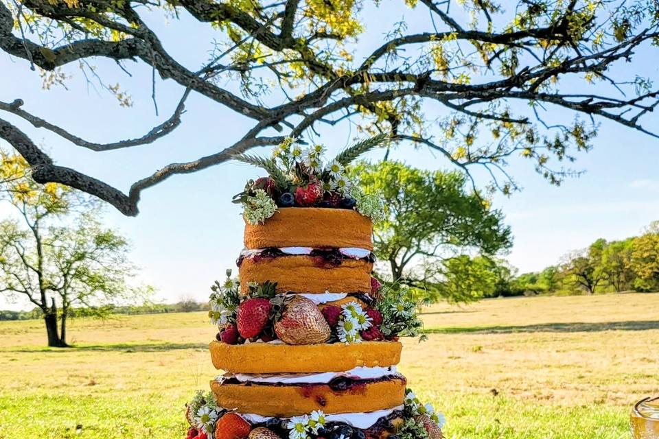 A wedding in the pasture