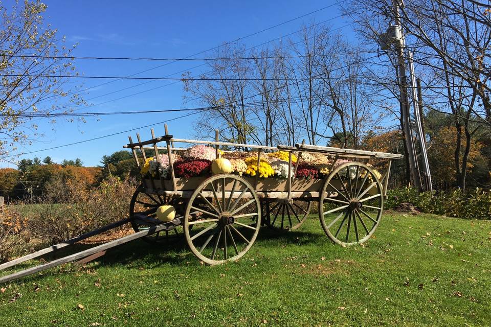 The Wagon in the Fall