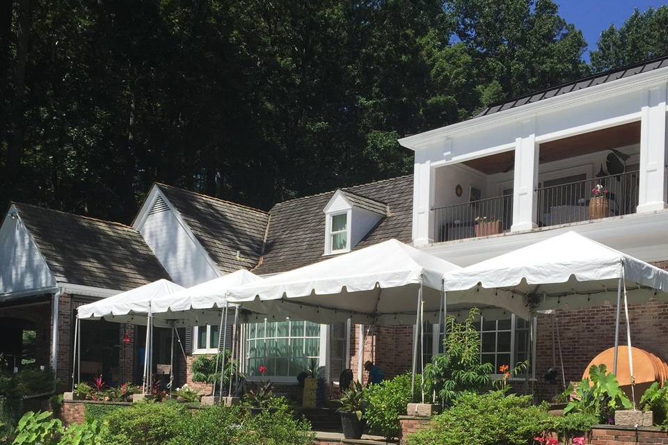 Backyard Tent Wedding