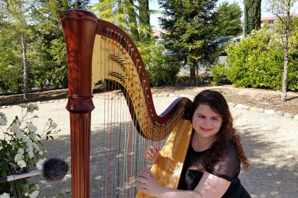 Playing harp