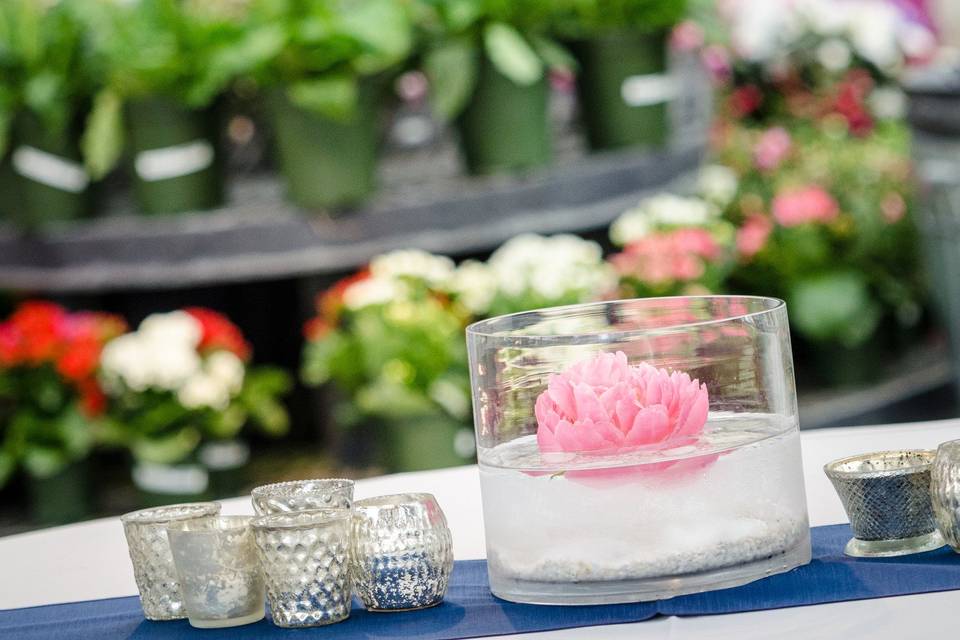 Crystal Slatten Photography