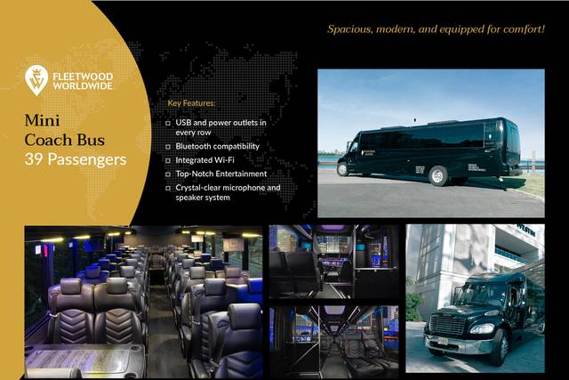 Mini Coach Bus