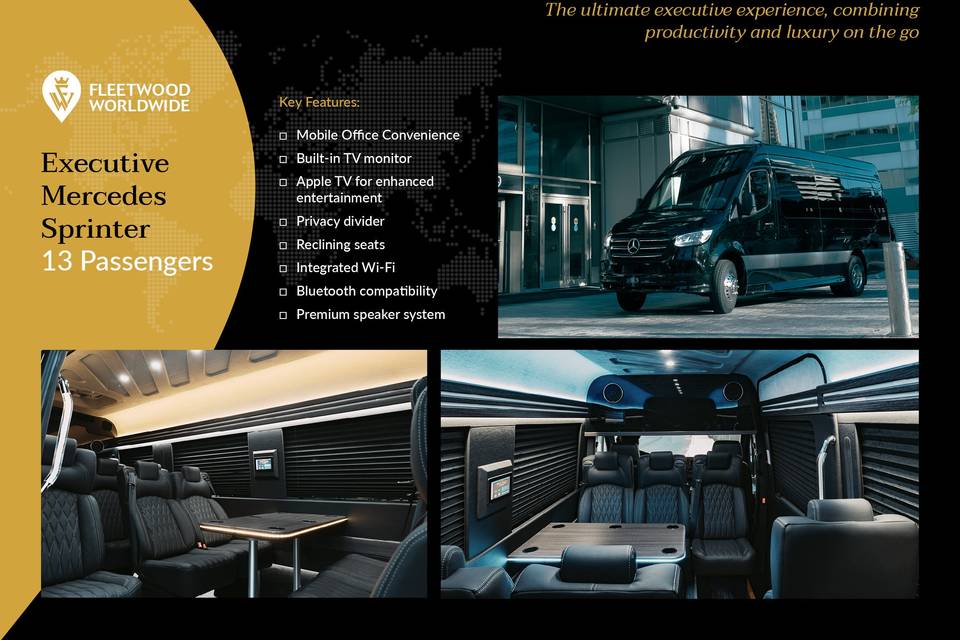 Executive Mercedes Sprinter