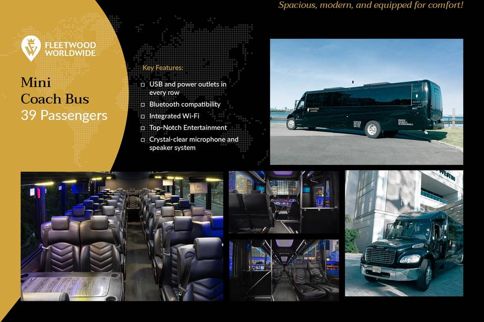 Mini Coach Bus