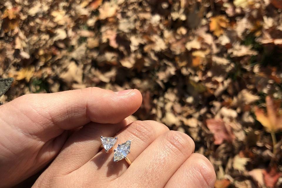 Custom Engagement