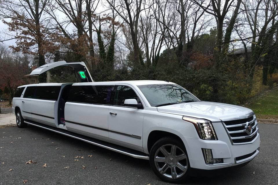 A1LIMO & TOURS