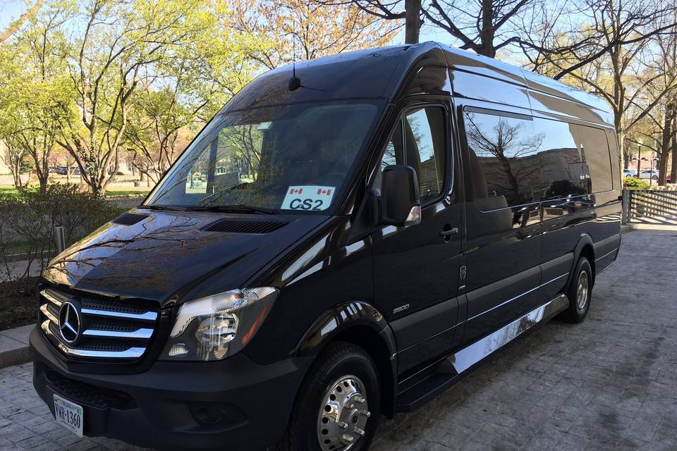 A1LIMO & TOURS LLC