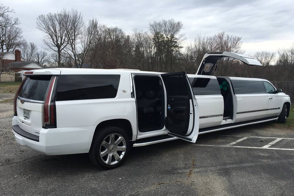 A1LIMO & TOURS