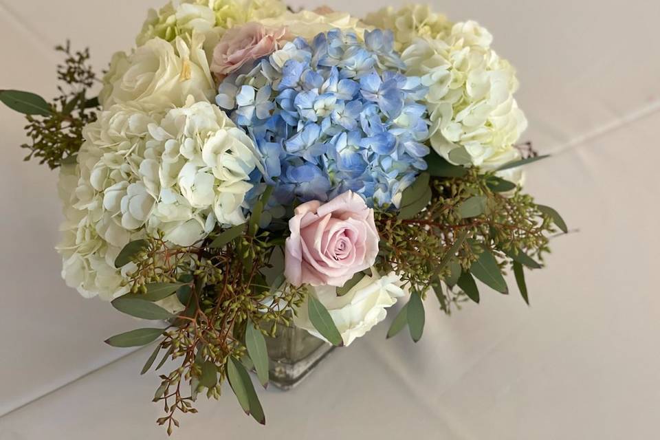 Blooming Gala