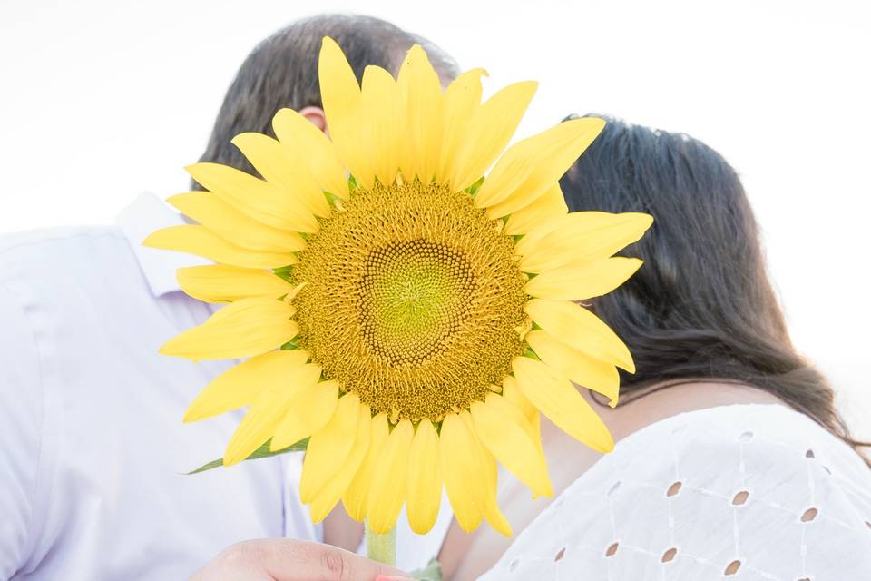 Sunflower Engagement
