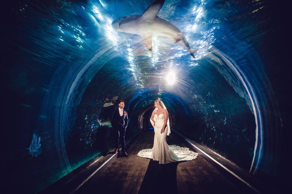 Camden Aquarium Wedding