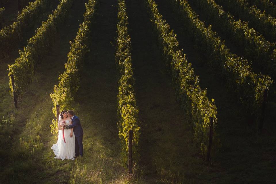 Sunset vines