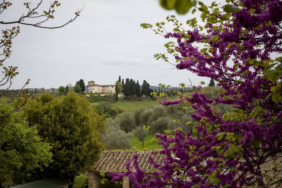 Original Tuscan Wedding