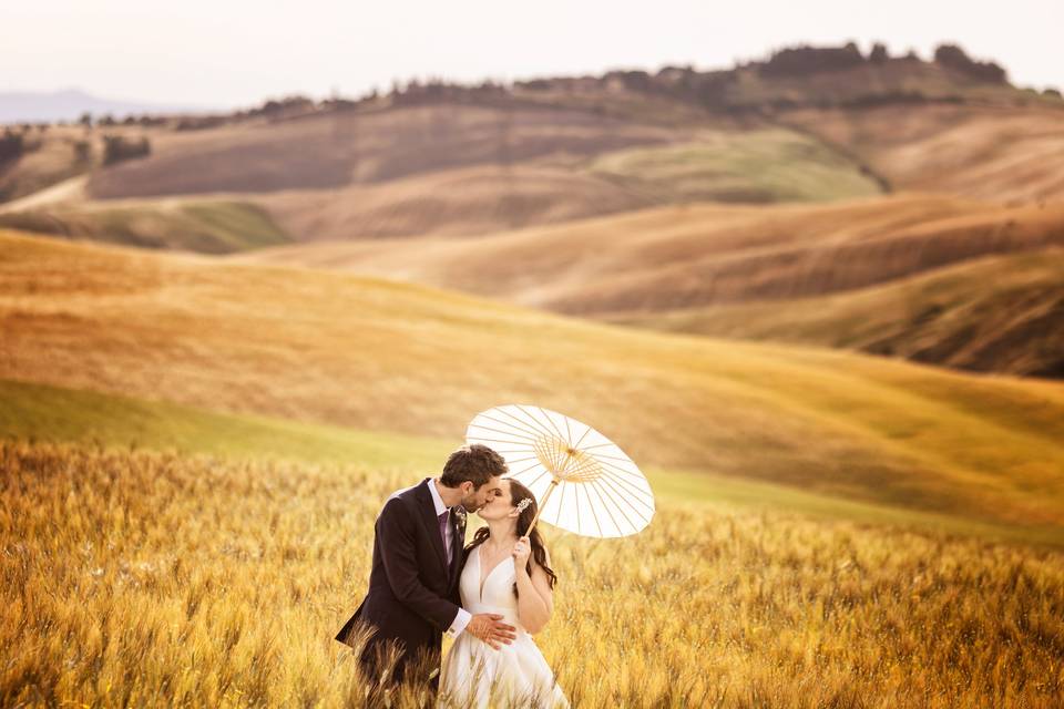 Tuscany field