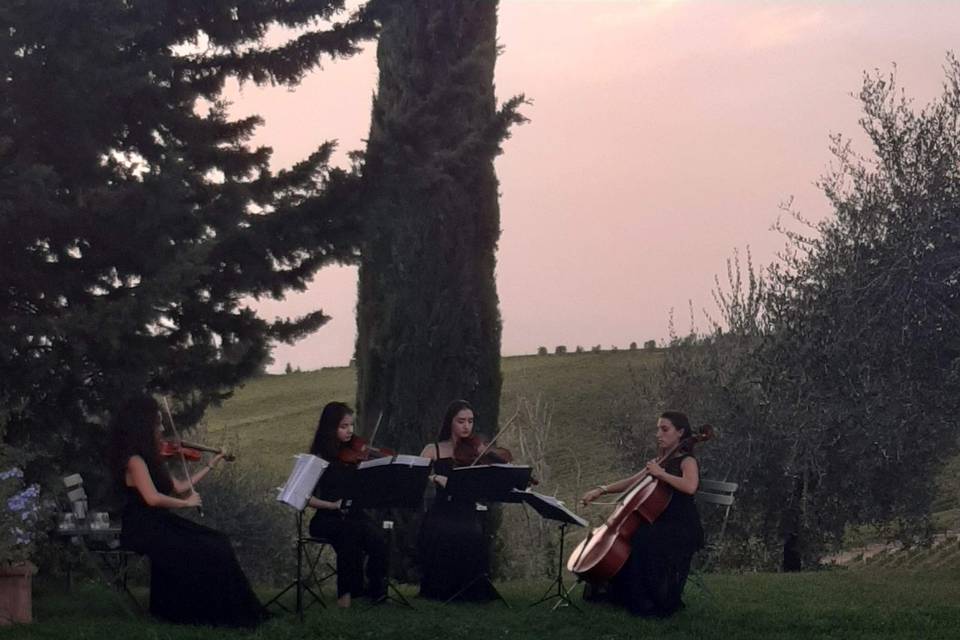 Original Tuscan Wedding