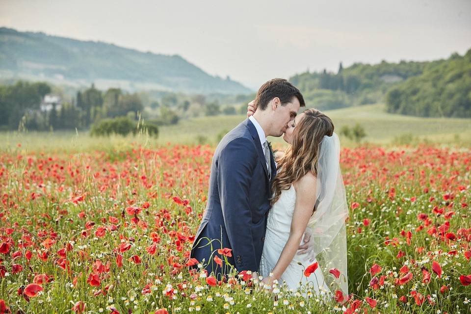 Tuscany poppies