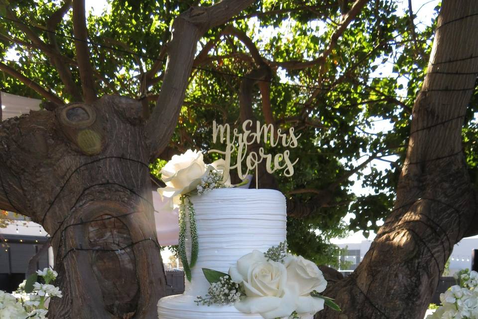 Jose and Lorena wedding cake