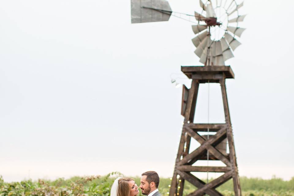 Vista Ranch and Cellars