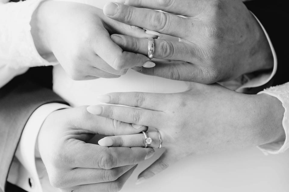 The rings.