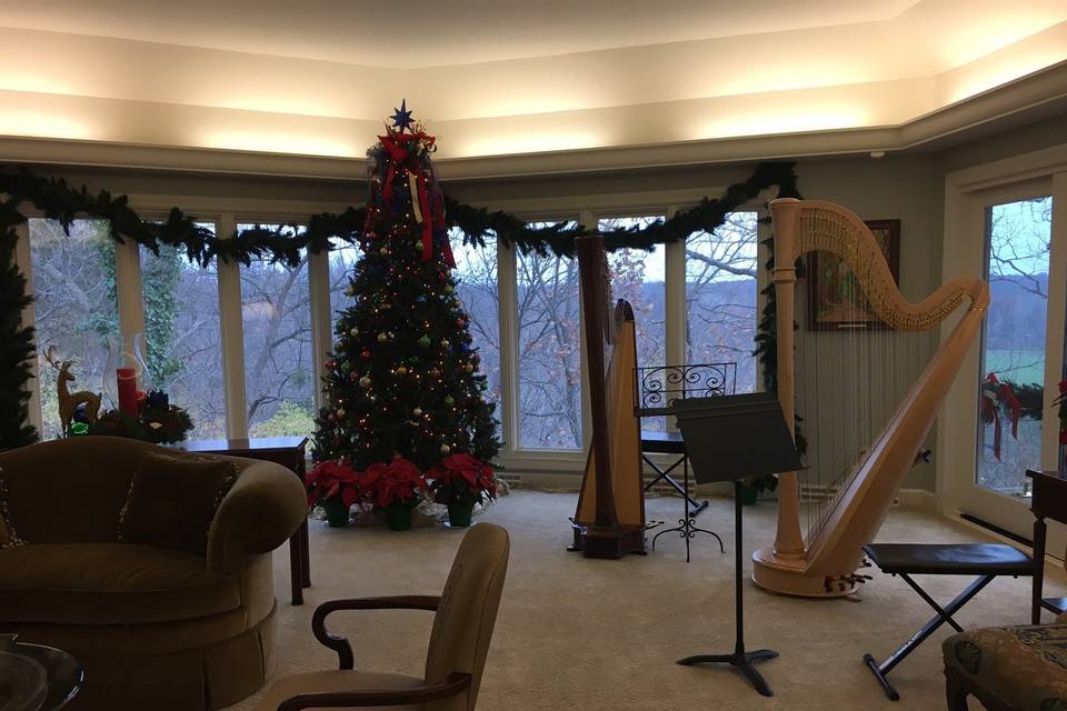 Playing Christmas music at the University of Missouri - President's Residence