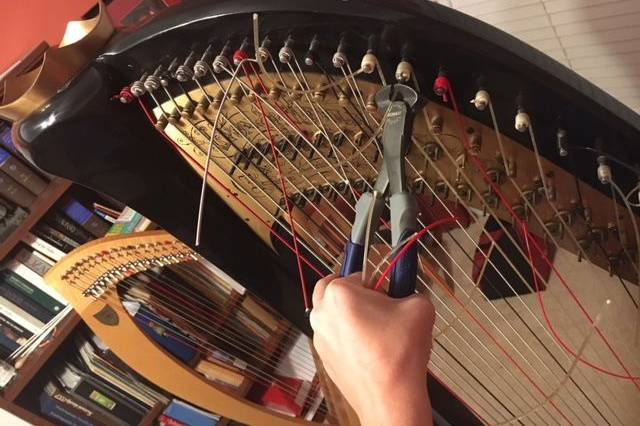 Annual harp maintenance