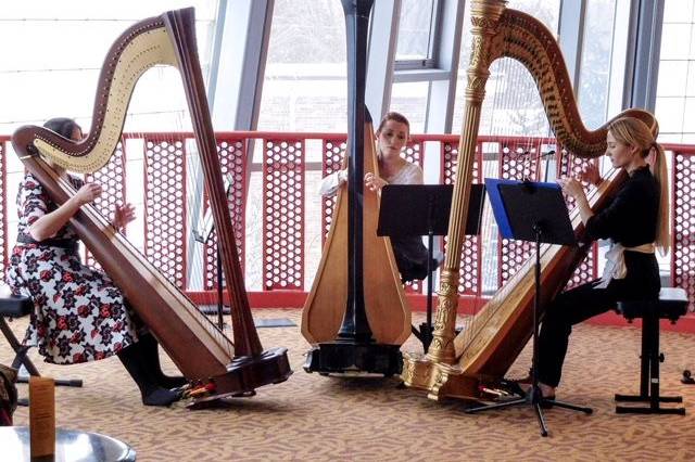 Harp trio concert in public library