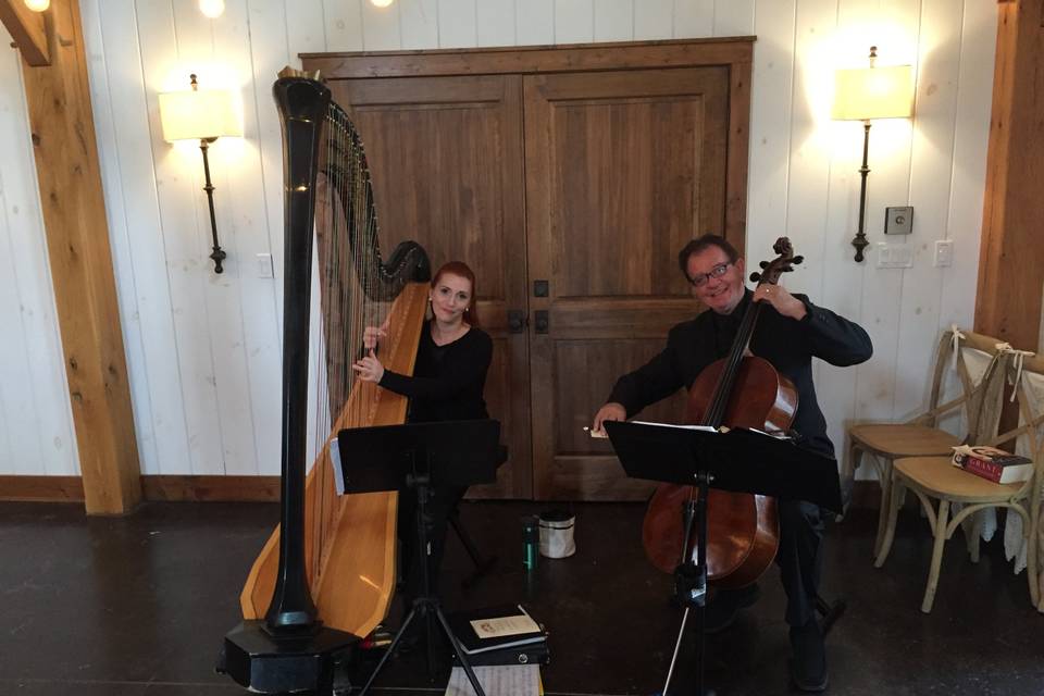 Cello and harp duo