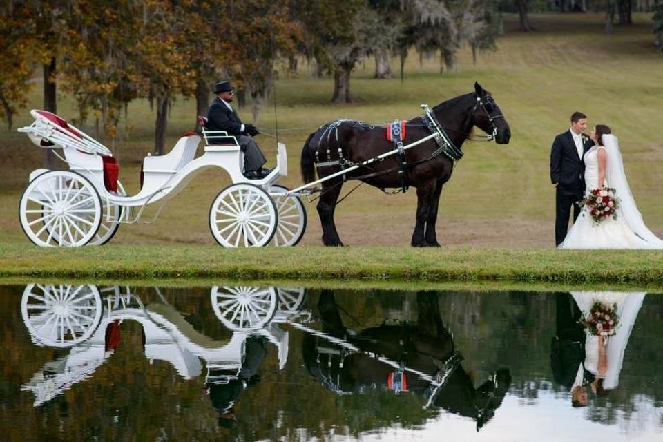 Horse and Carriage