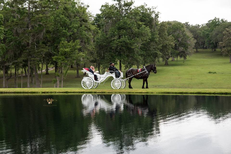 Horse and Carriage at Island