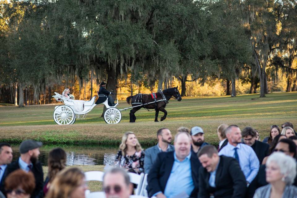 Horse and Carriage