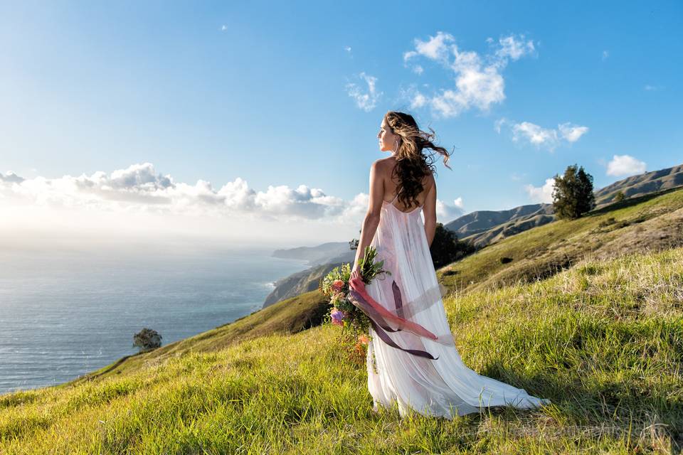 Big Sur bridal portrait