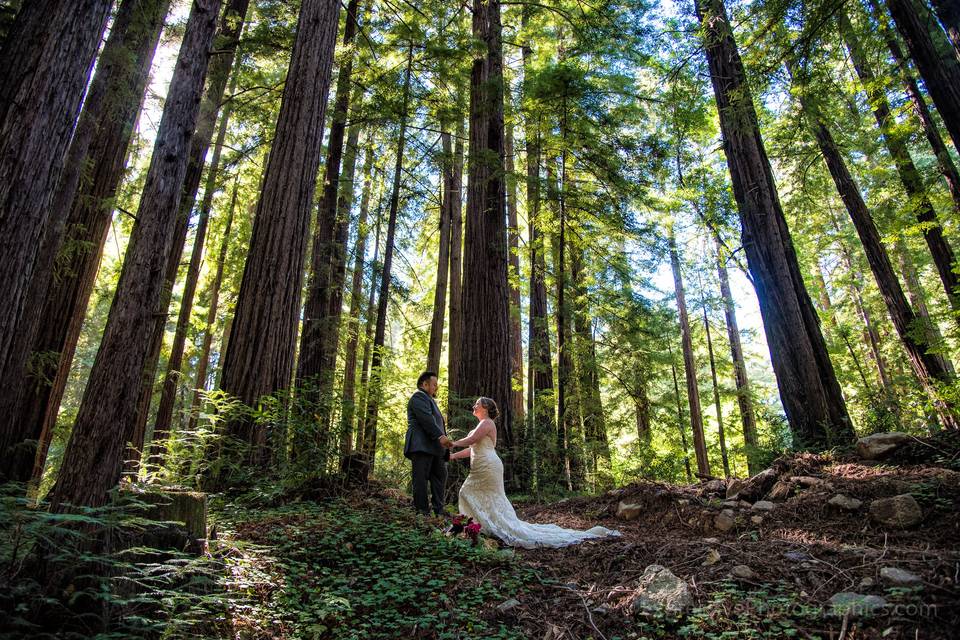 Glen Oaks Big Sur Wedding