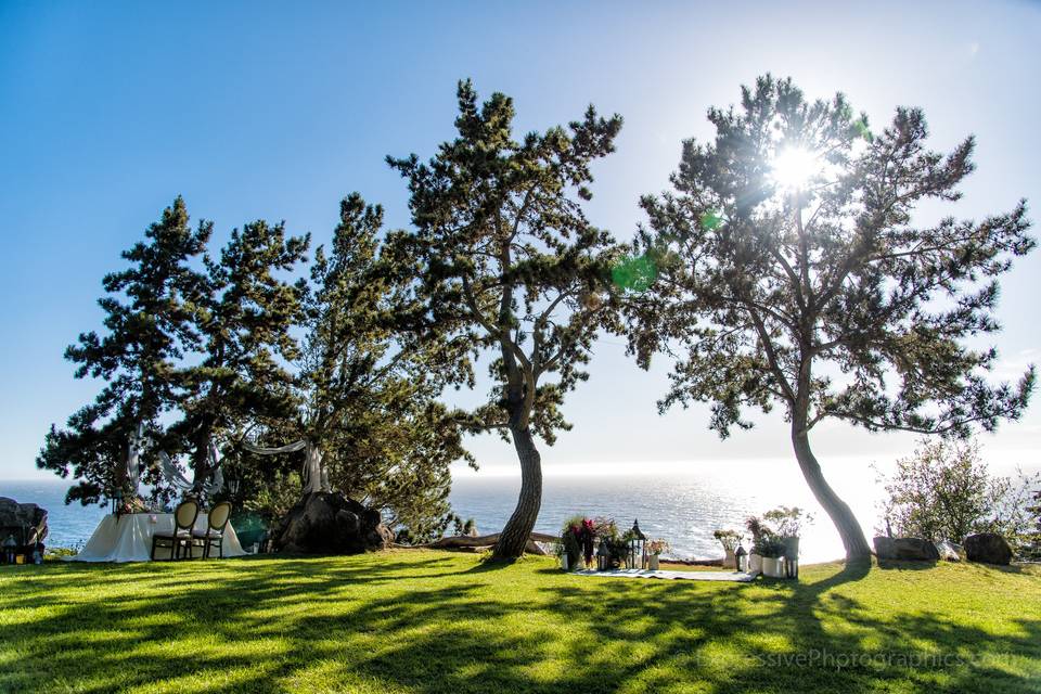 Big Sur Wedding