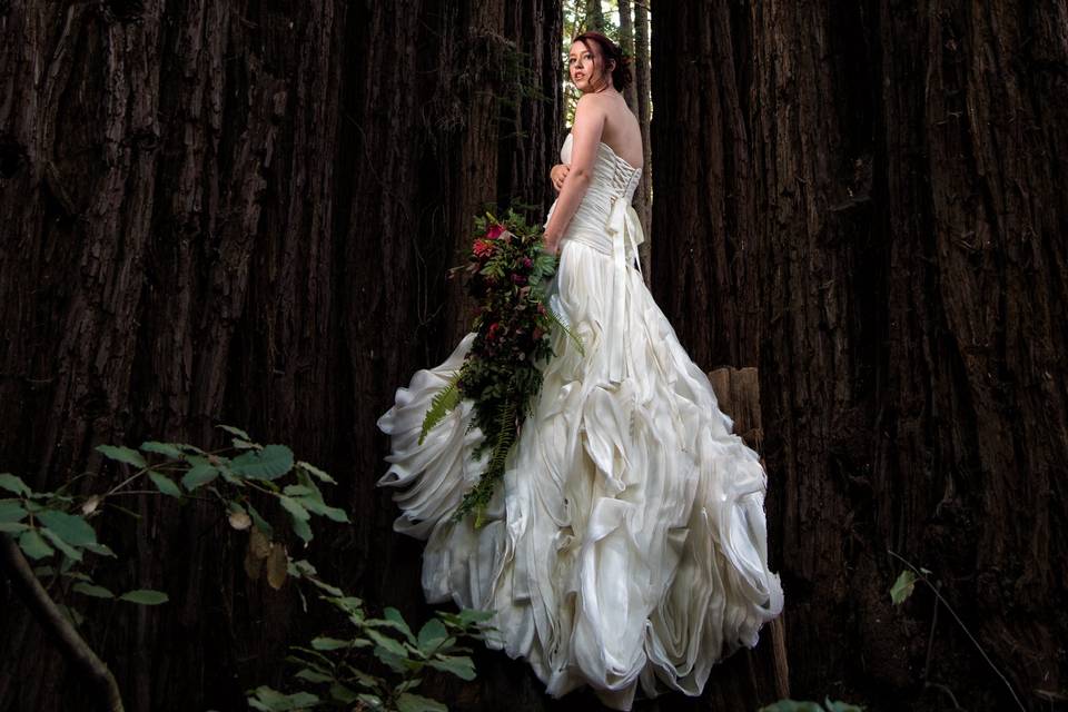 Forest Wedding