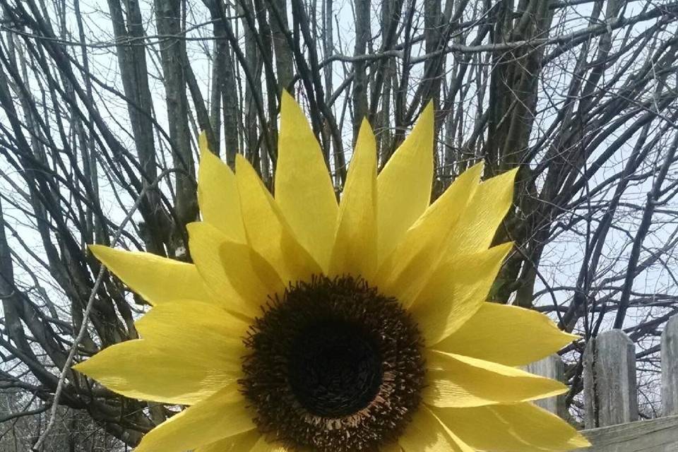 Giant paper sunflower