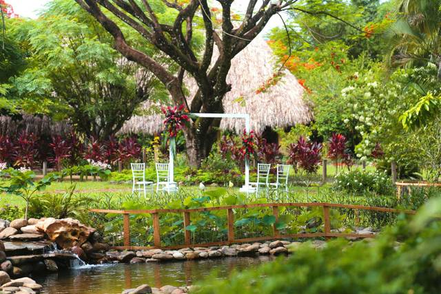 The Belize Collection