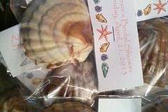 Beach themed weddings chocolate seashells with personalized topper.