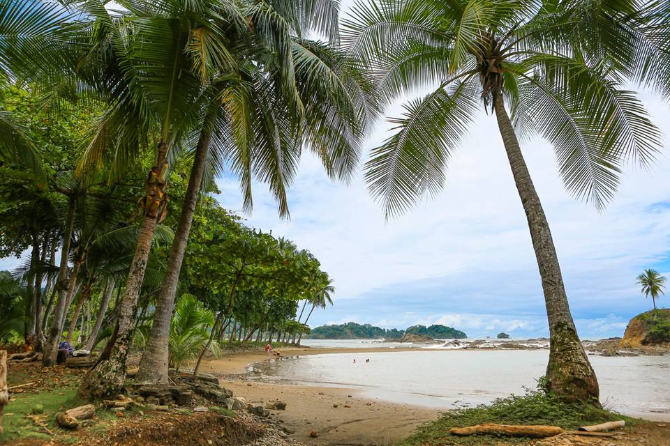 Pacific Edge Eco Lodge