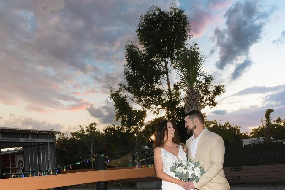 Wedding Venue With Animals