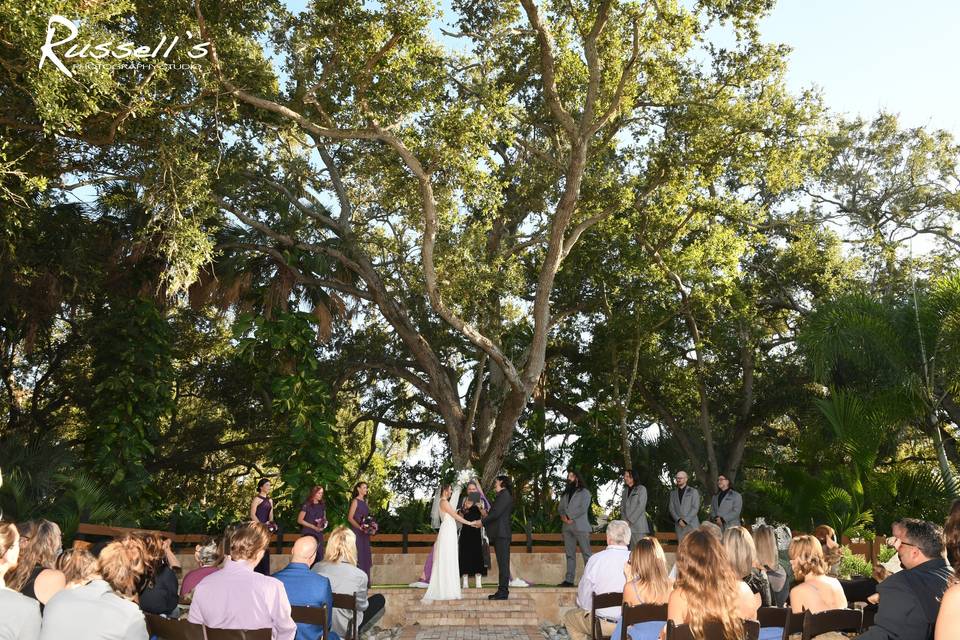 Outdoor Ceremony With Tree