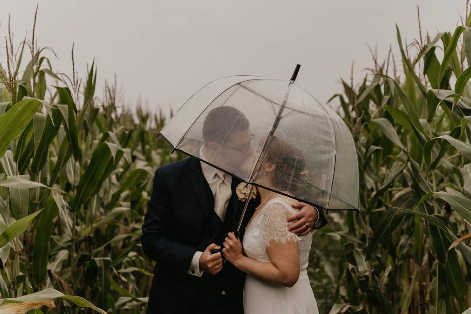 Bride and Groom in a Cornfield
