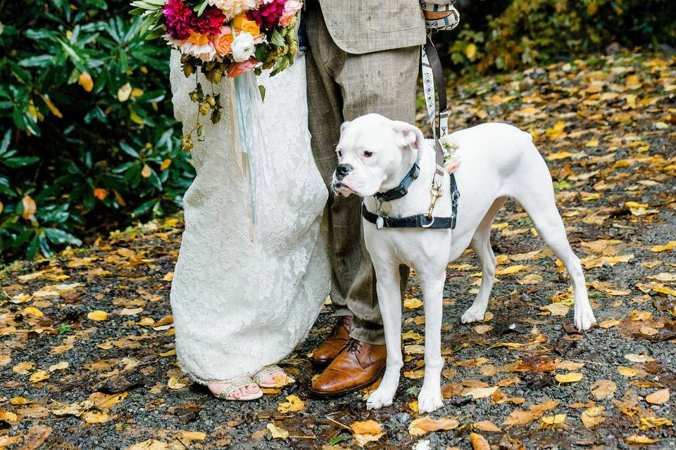 Newlyweds and their dog