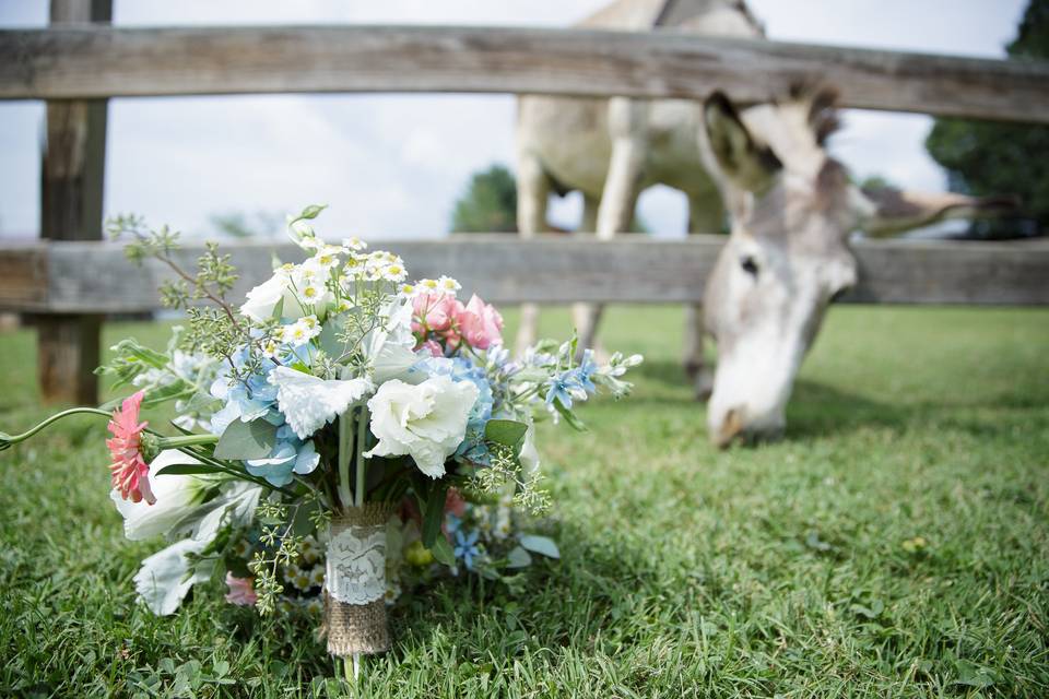 Black-Eyed Susan Catering