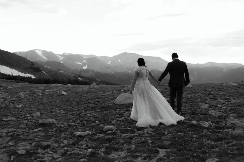 Trail ridge road wedding portraits. Estes Park Colorado wedding