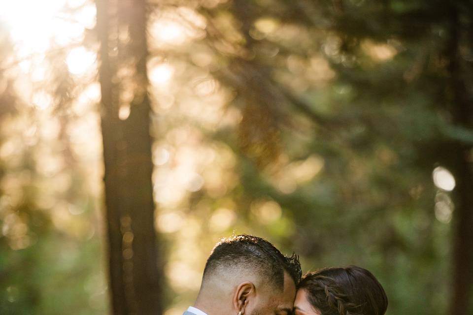 Wedding Photo and Film