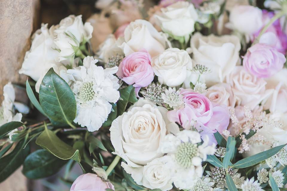 Harper Jones Photography