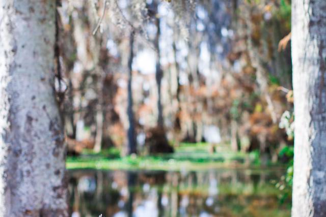 Bayou Bridal Shoot