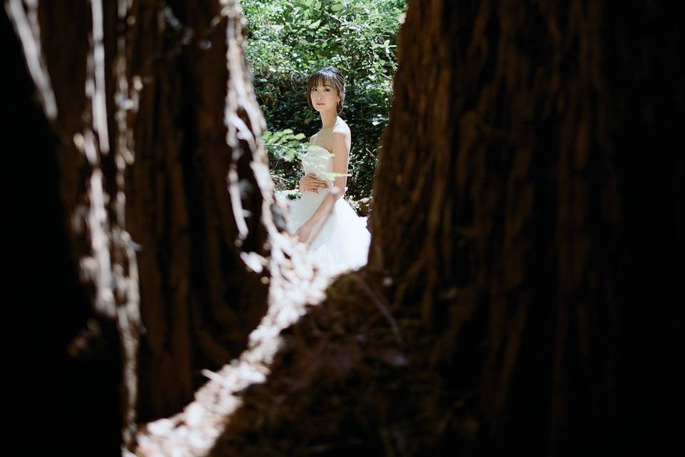Bridal Portrait in the redwood