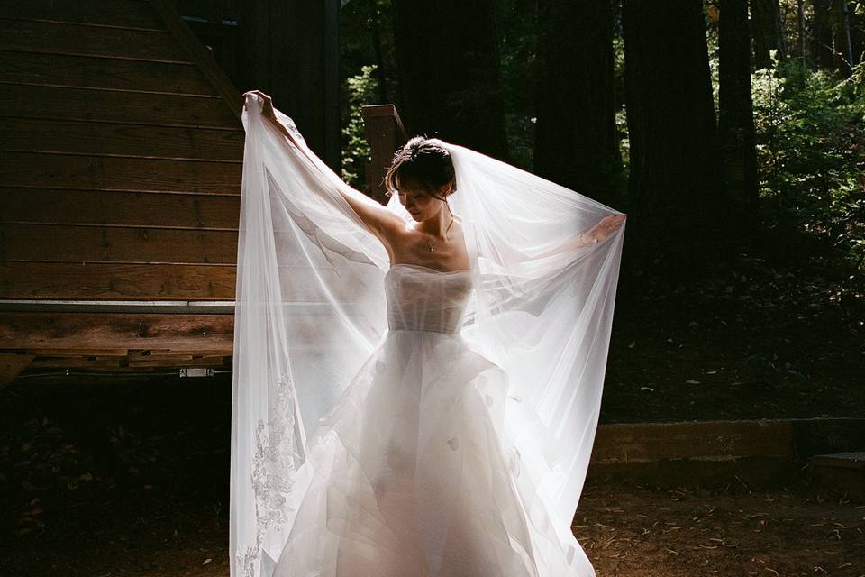 Light through the veil
